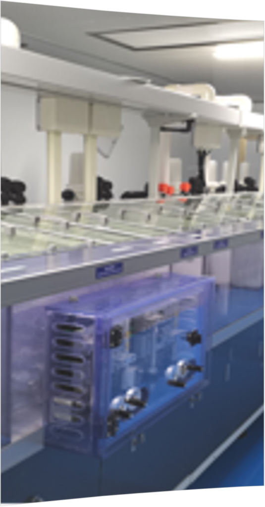 Fully Automatic Etching Line